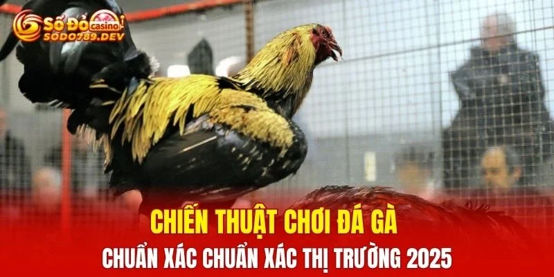 Đá Gà Cựa Sắt