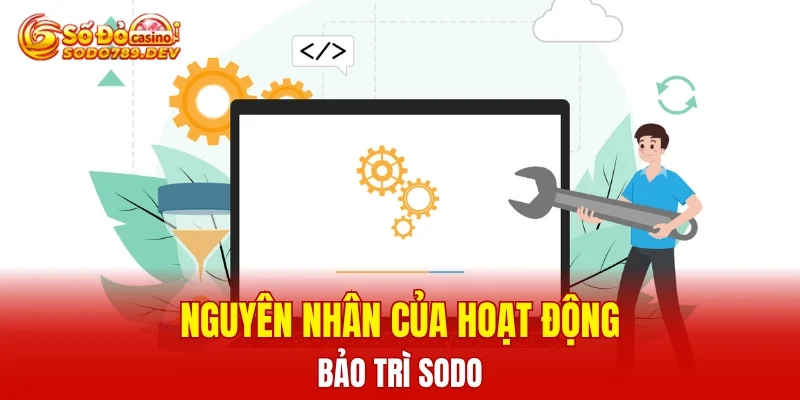 Nguyên nhân của hoạt động bảo trì SODO