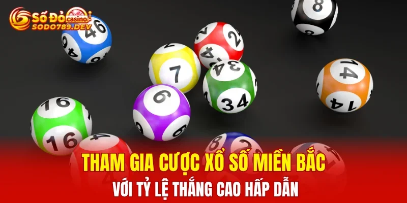 Tham gia cược xổ số miền Bắc với tỷ lệ thắng cao hấp dẫn