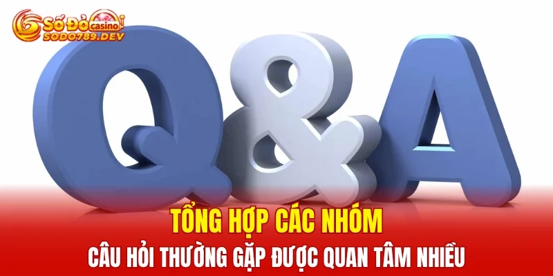 Tổng hợp các nhóm câu hỏi thường gặp được quan tâm nhiều